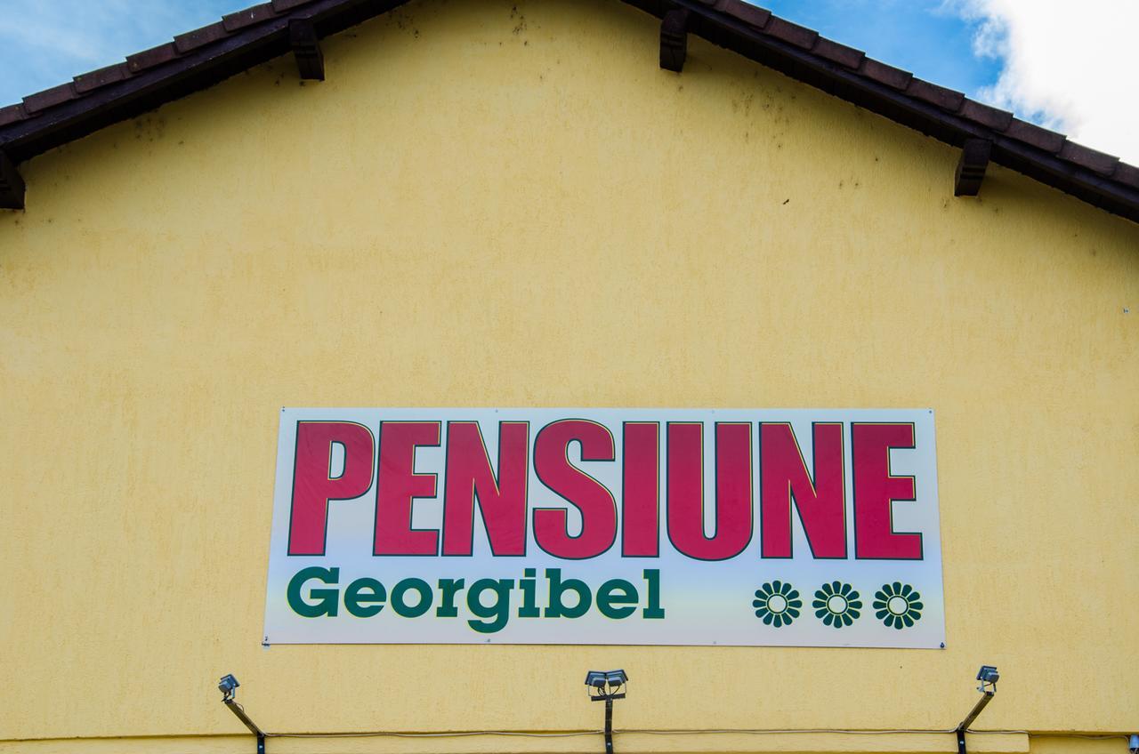 Hotel Georgibel Deva Exterior foto